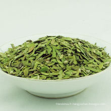 Yunnan Yhc cassé thé vert